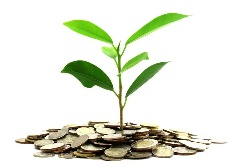 Инвестиции SKF в сохранение экологии | Свежие новости в Стерлитамаке