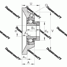 Подшипник PCJ 25-N
